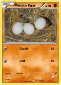 Platypus Eggs