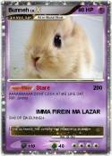 Bunneh