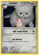 fat kitten