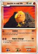 torchic in real