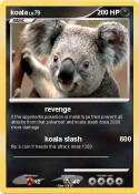 koala