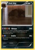 Door dog