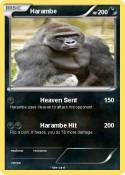 Harambe