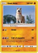 Giant Akita