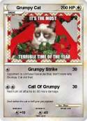 Grumpy Cat