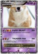 Pikapuppy
