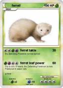 ferret!
