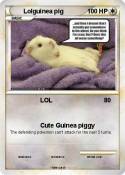 Lolguinea pig