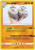 Duo Hedgy
