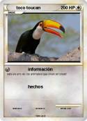 toco toucan