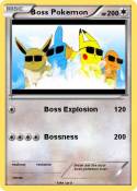 Boss Pokemon