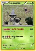 PUG MASTER