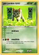 gato perdido