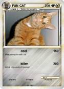 FUN CAT