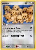 puppies puppies