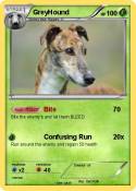GreyHound