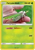 Fat Luna Moth