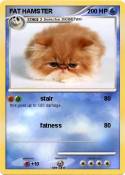 FAT HAMSTER