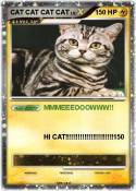 CAT CAT CAT CAT