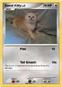 Sweet Kitty