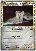 Ultra Maggie