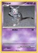 Crazycat