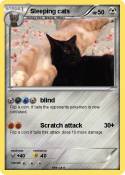 Sleeping cats