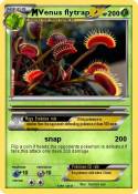 Venus flytrap