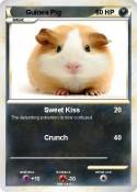 Guinea Pig