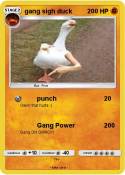 gang sigh duck