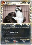 Osprey