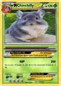 Chinchilly
