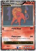 Burning flame