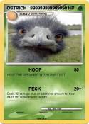 OSTRICH