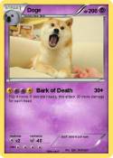 Doge