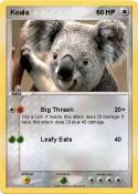 Koala