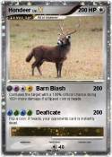 Hondeer