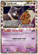burrito cat
