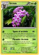 Orchids