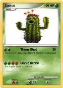 Cactus