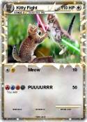 Kitty Fight