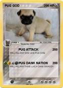 PUG GOD