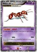 aware ant