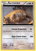 The C H O N K