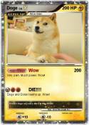 Doge