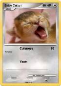 Baby Cat