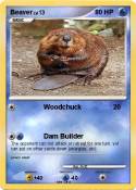 Beaver