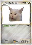 Smudge the cat