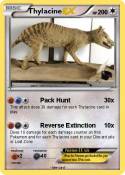 Thylacine