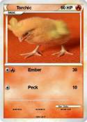 Torchic